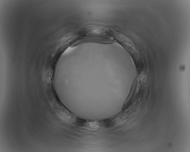 X0000097600423200803280955