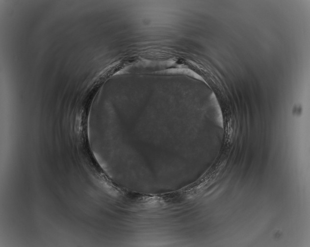 X0000097600424200803280955