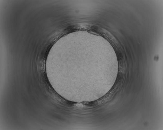 X0000097600425200803280955