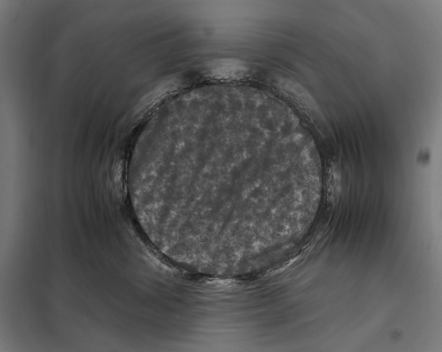 X0000097600428200803280955