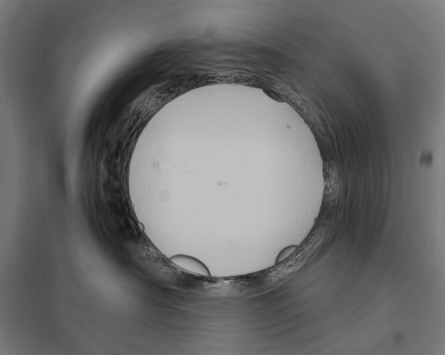 X0000097600430200803280955