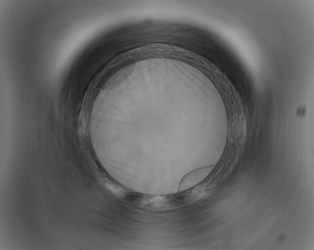 X0000097600431200803280955