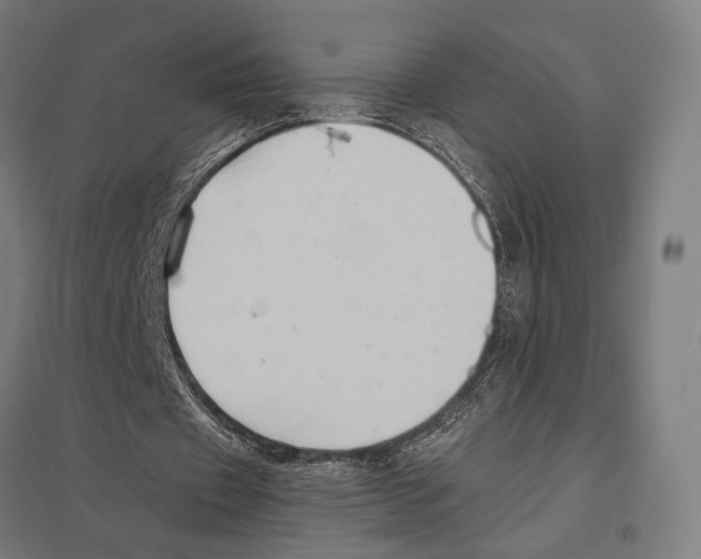 X0000097600433200803280954