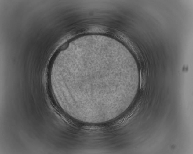 X0000097600435200803280954