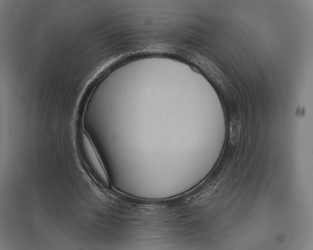 X0000097600436200803280954