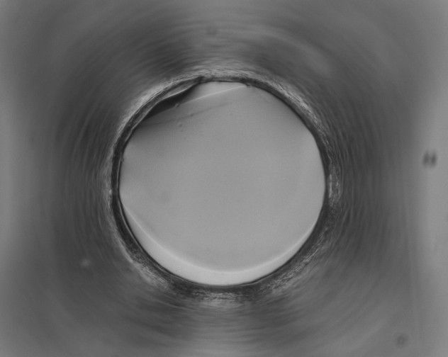 X0000097600438200803280954