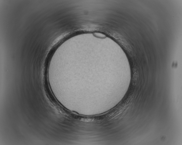 X0000097600440200803280954