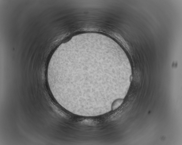 X0000097600441200803280954