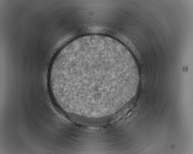 X0000097600442200803280954