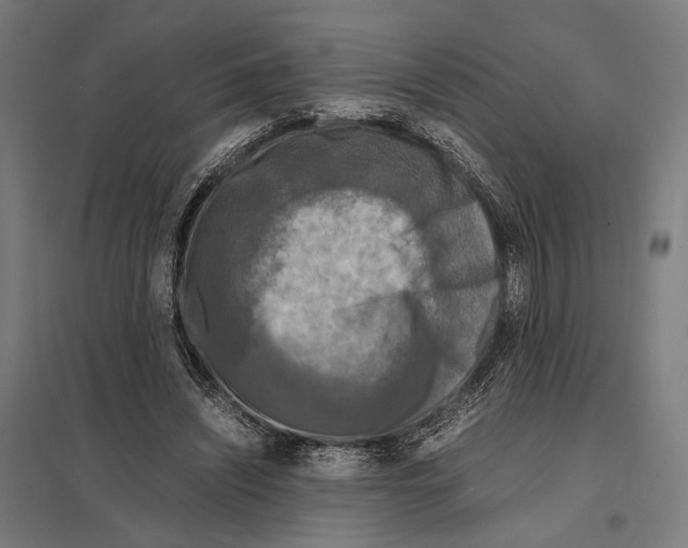 X0000097600444200803280954