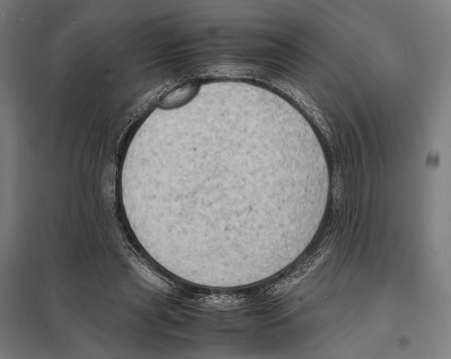 X0000097600445200803280954