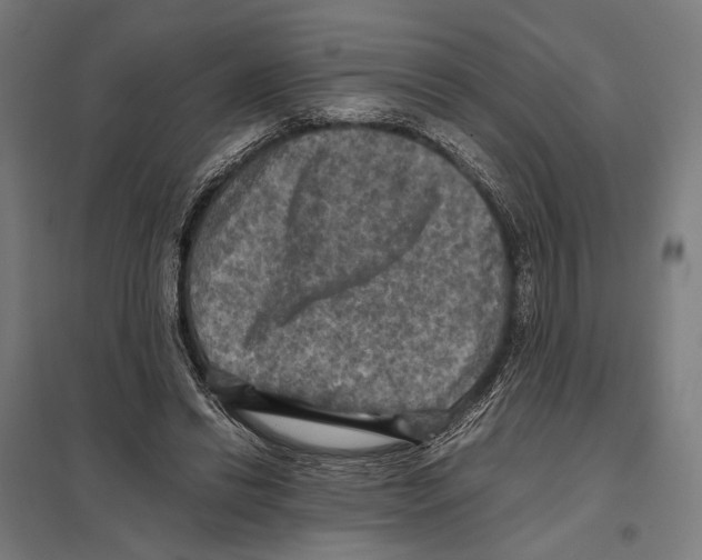 X0000097600446200803280954