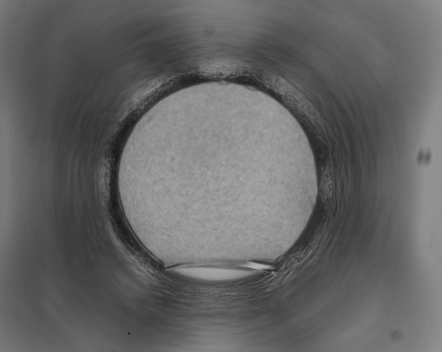 X0000097600448200803280954