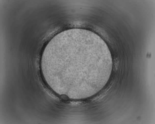 X0000097600450200803280954