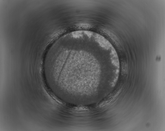 X0000097600451200803280954