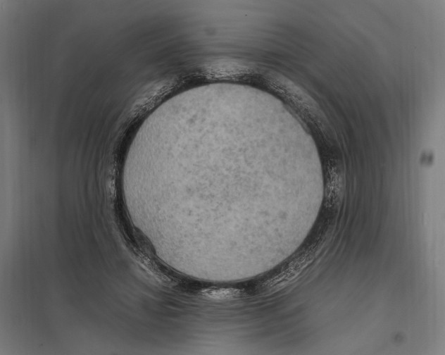 X0000097600452200803280954