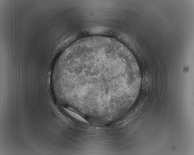 X0000097600454200803280955