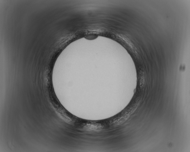 X0000097600455200803280955