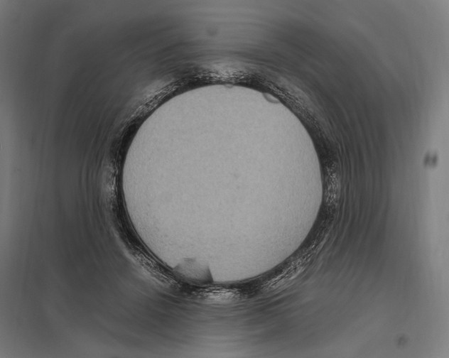 X0000097600456200803280955