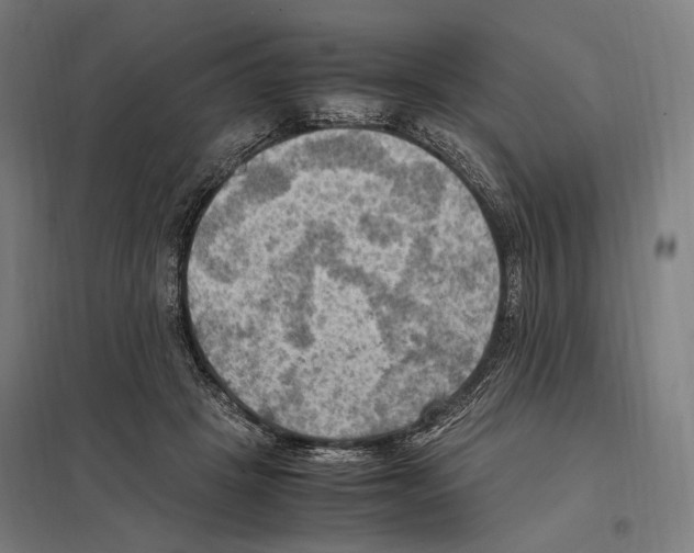 X0000097600457200803280955