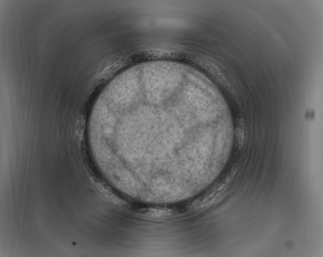 X0000097600458200803280955