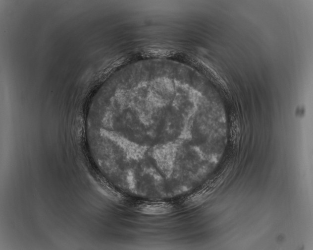 X0000097600459200803280955