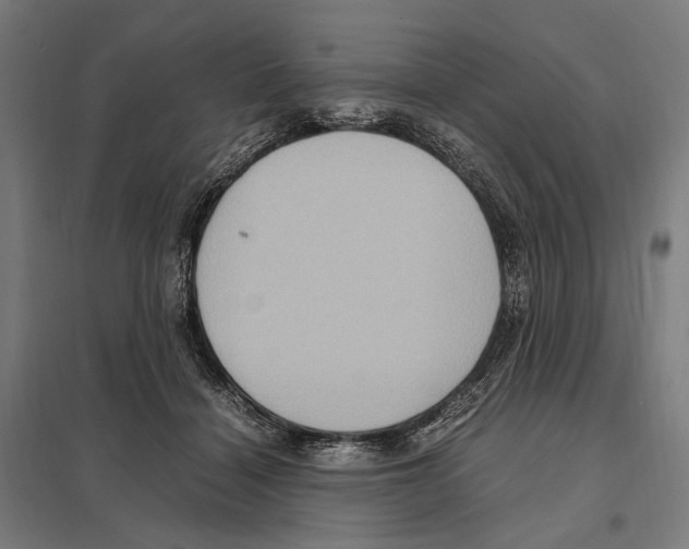 X0000097600460200803280955