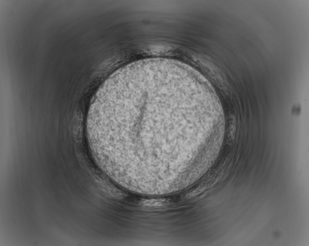 X0000097600461200803280955