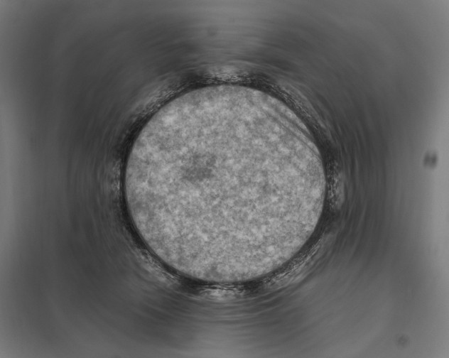 X0000097600466200803280955