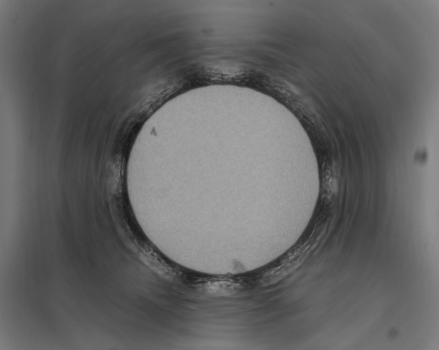 X0000097600468200803280955