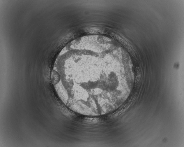 X0000097600469200803280955