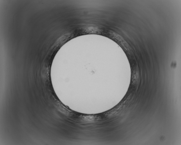 X0000097600473200803280955