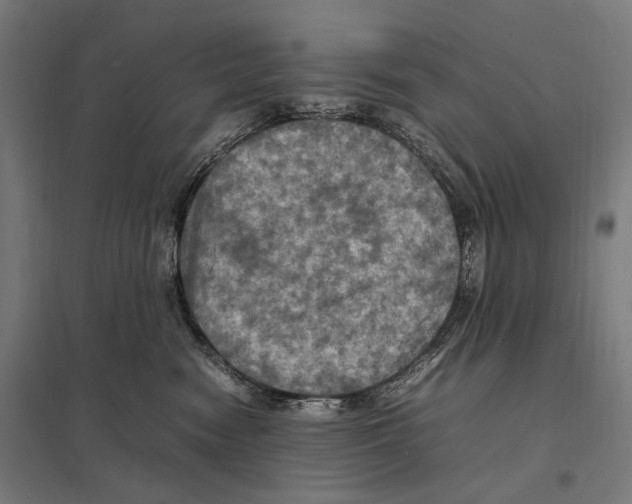 X0000097600474200803280955