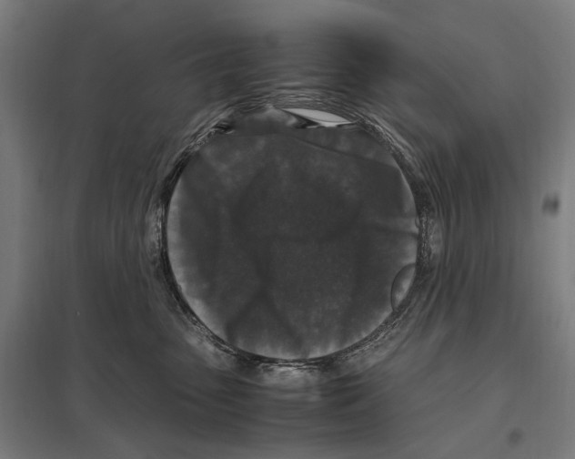 X0000097600475200803280955