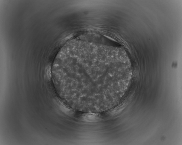 X0000097600479200803280955