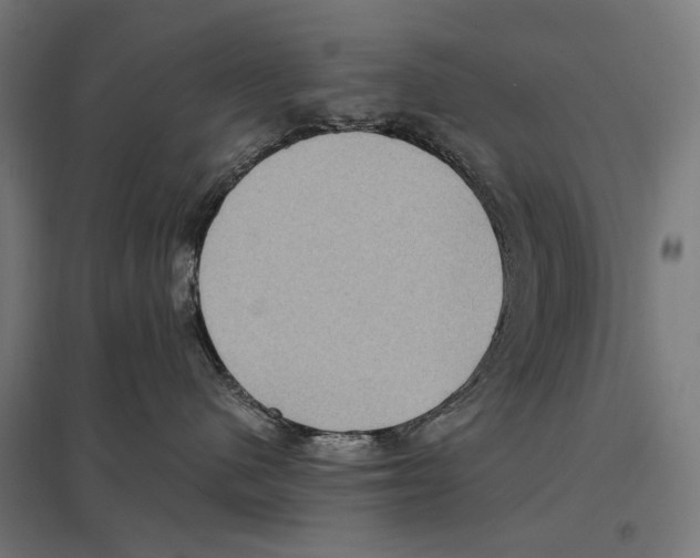 X0000097600480200803280955