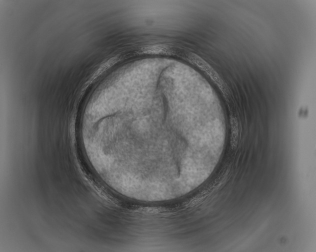 X0000097600482200803280954