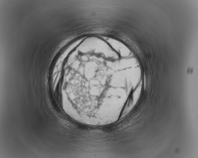 X0000097600483200803280954