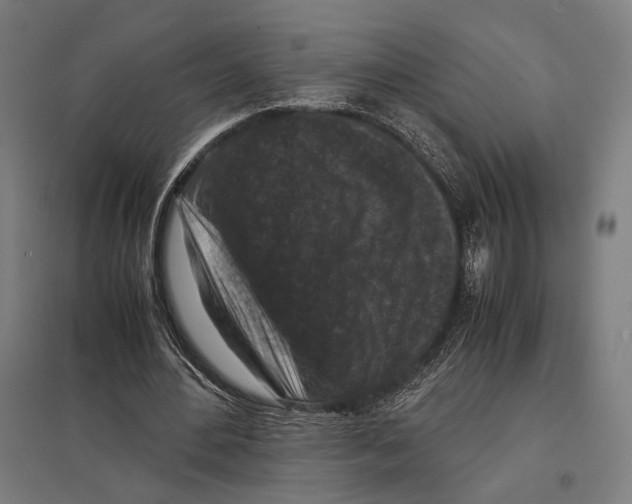 X0000097600484200803280954