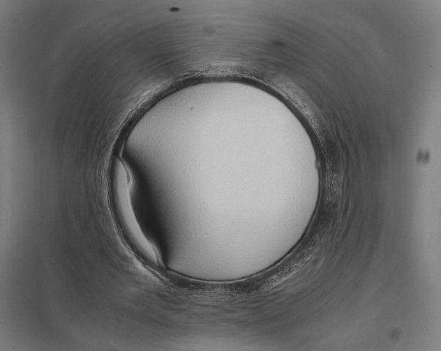 X0000097600485200803280954