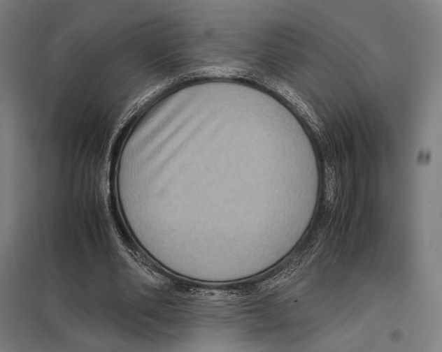 X0000097600486200803280954