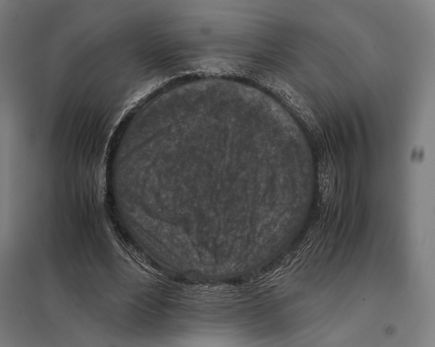 X0000097600488200803280954