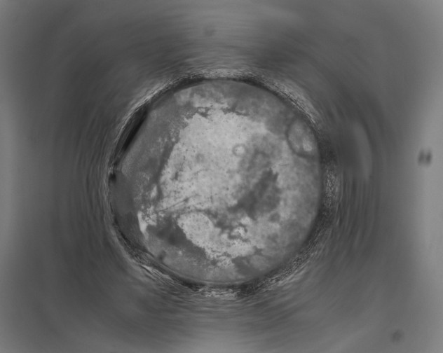 X0000097600491200803280954