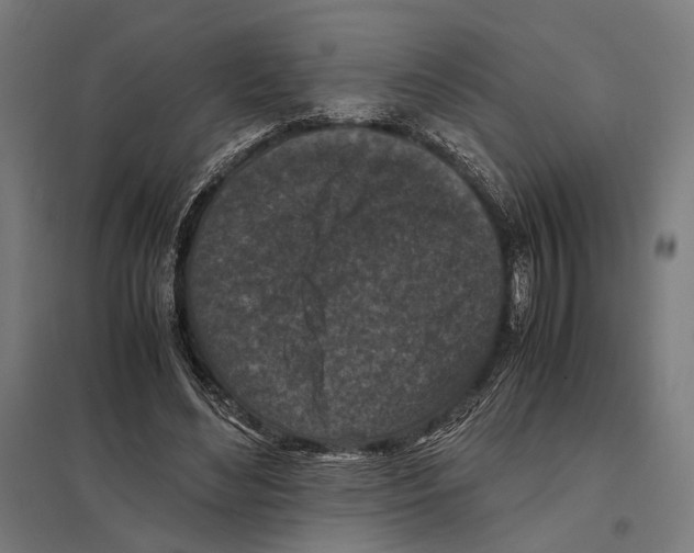 X0000097600492200803280954