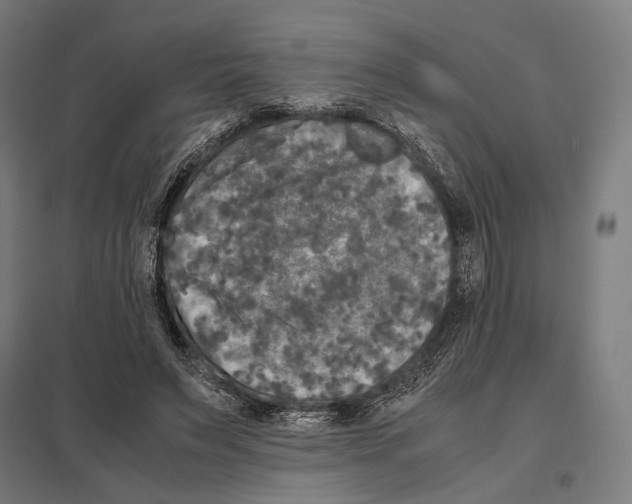 X0000097600495200803280954