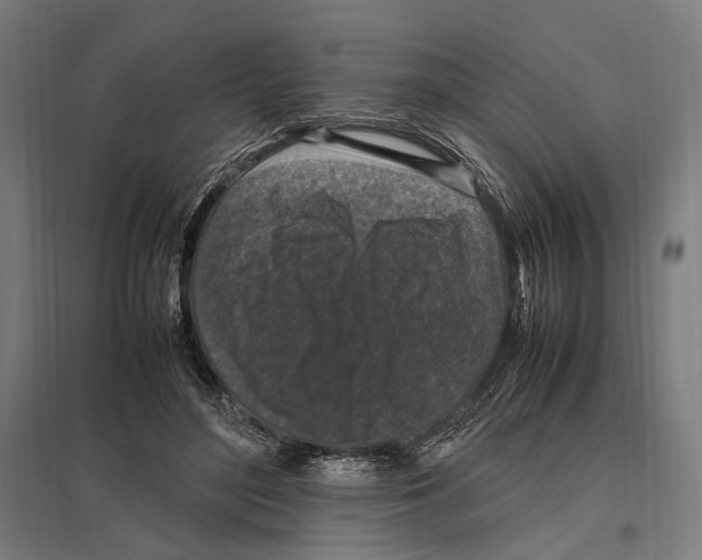 X0000097600500200803280954