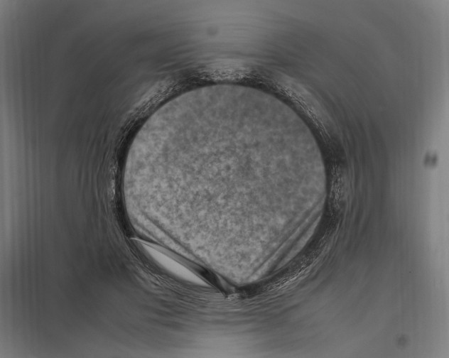 X0000097600501200803280954