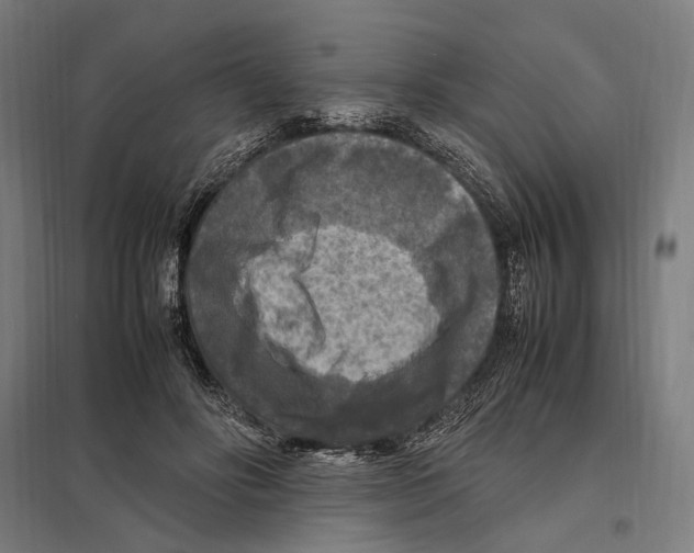 X0000097600502200803280954