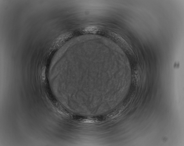 X0000097600504200803280954