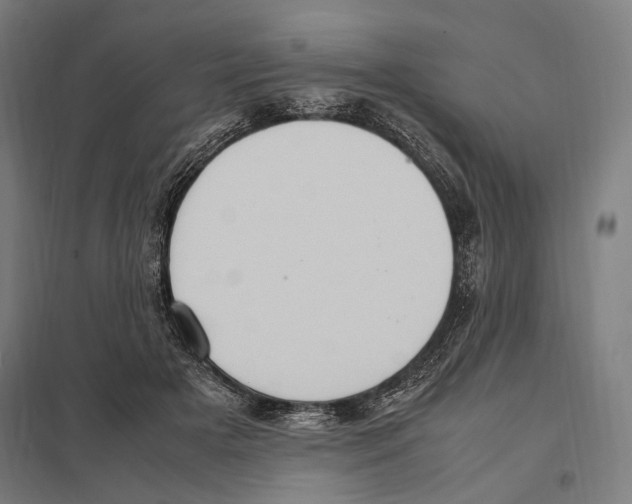 X0000097600505200803280954